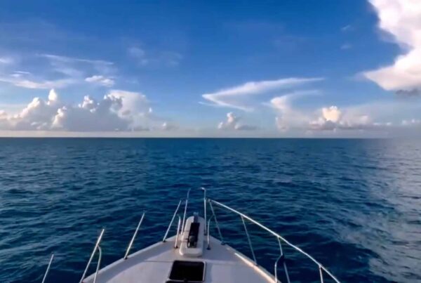 Reel is live: built for captains first.